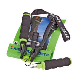Ice Spike Zandstra isdub